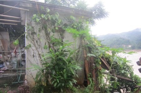 ...một[-]số[-]hộ[-]dân[-]khác[-]đã[-]bị[-]nước[-]sông[-]Lam[-]gây[-]sạt[-]lở[-]đến[-]chấn[-]tường...[-]và[-]buộc[-]phải[-]di[-]dời...